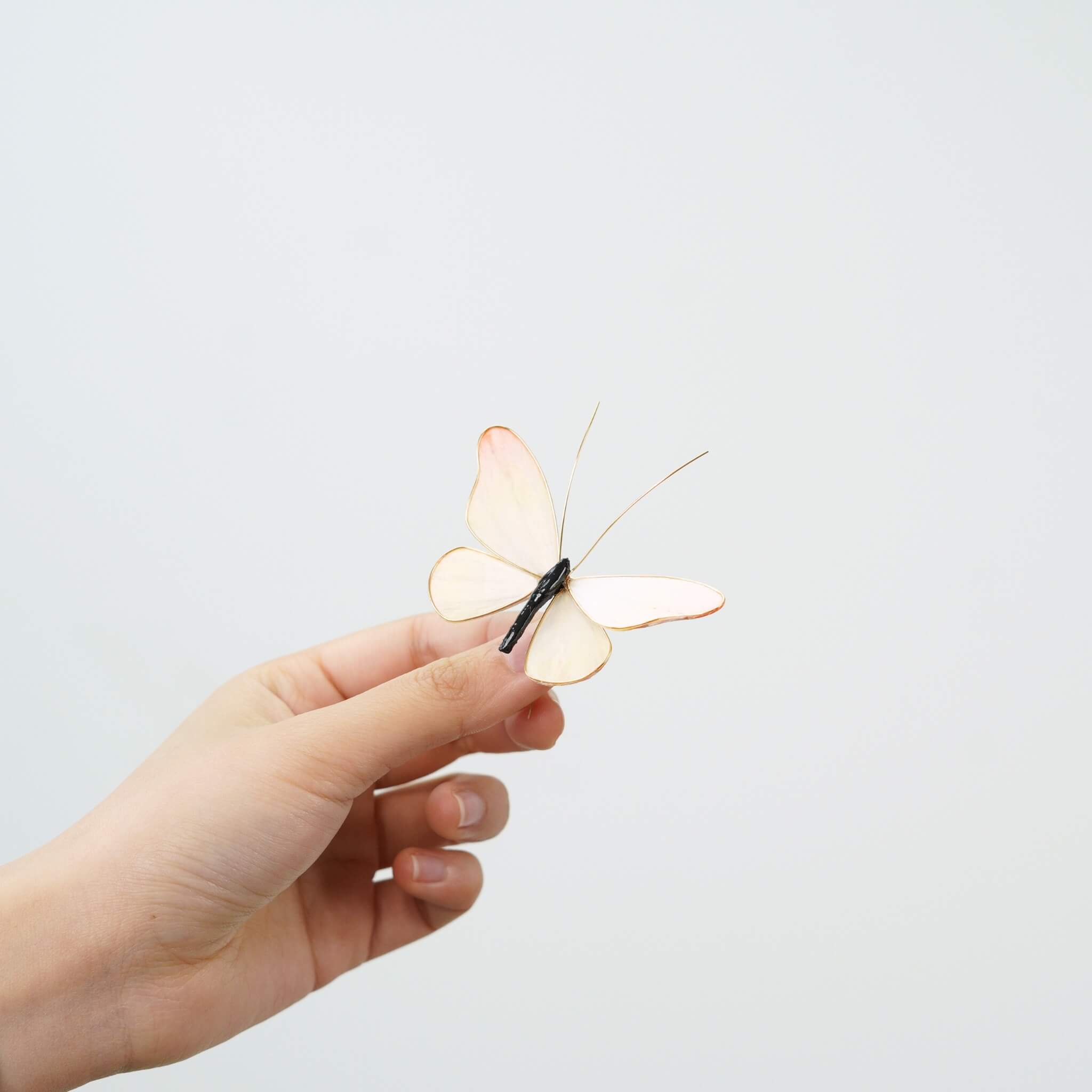 Reborn Butterfly | Limited Gift Edition for Easter 2026