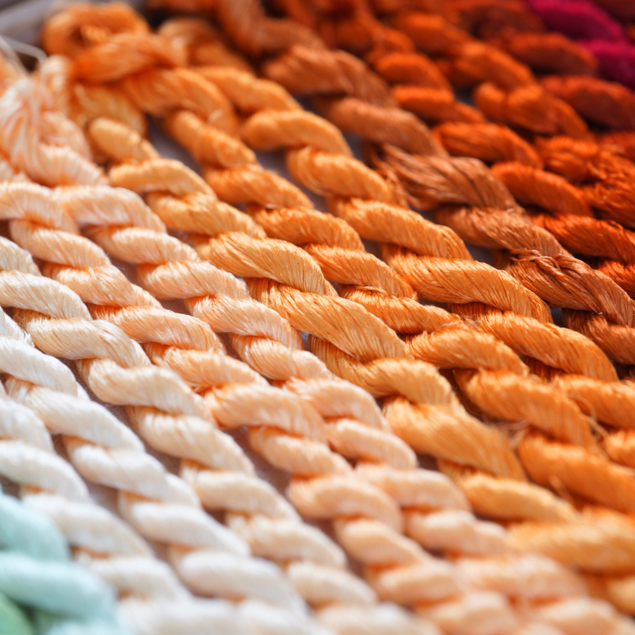 Ronghua DIY Kit | Golden Chrysanthemum Penjing