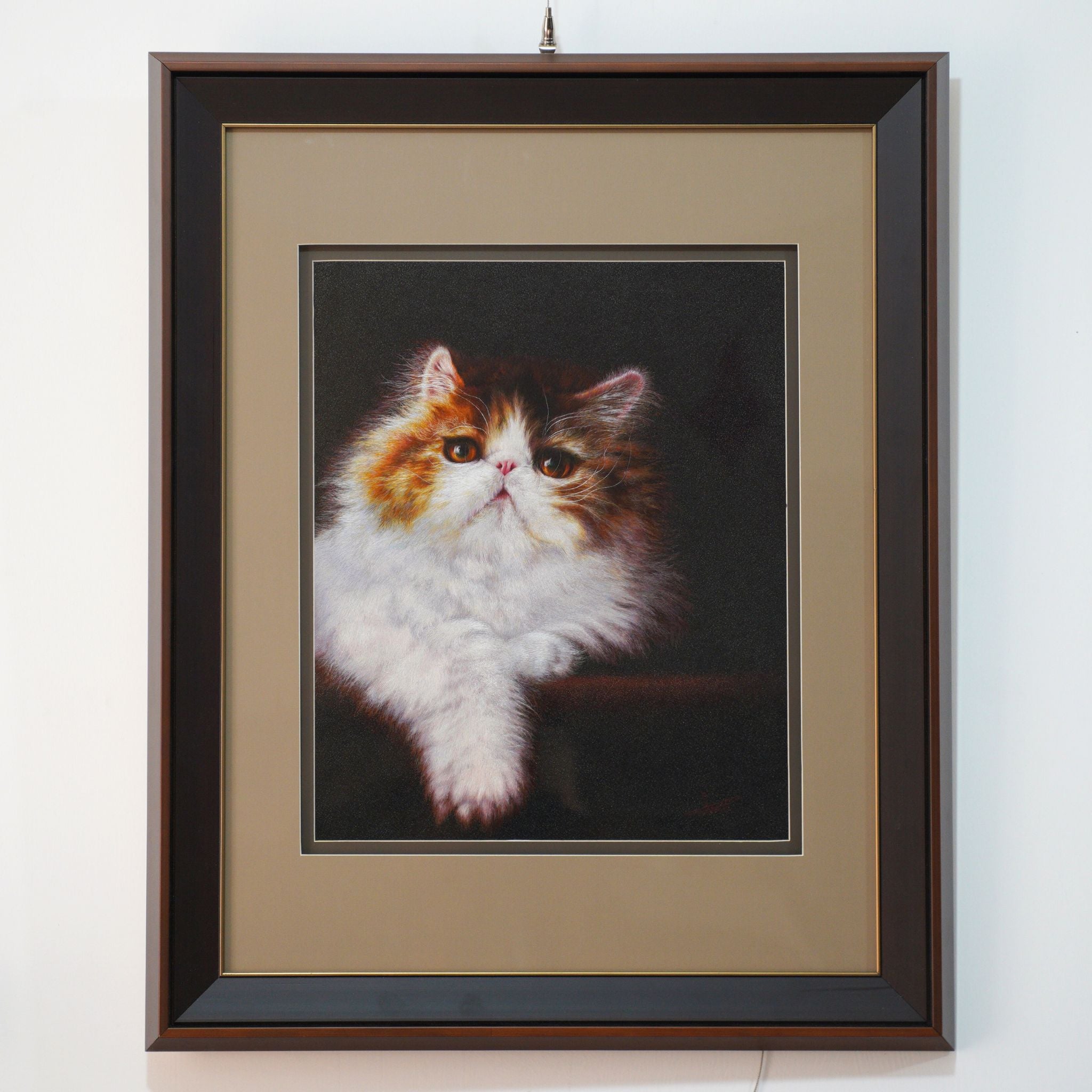 The Dream Cat