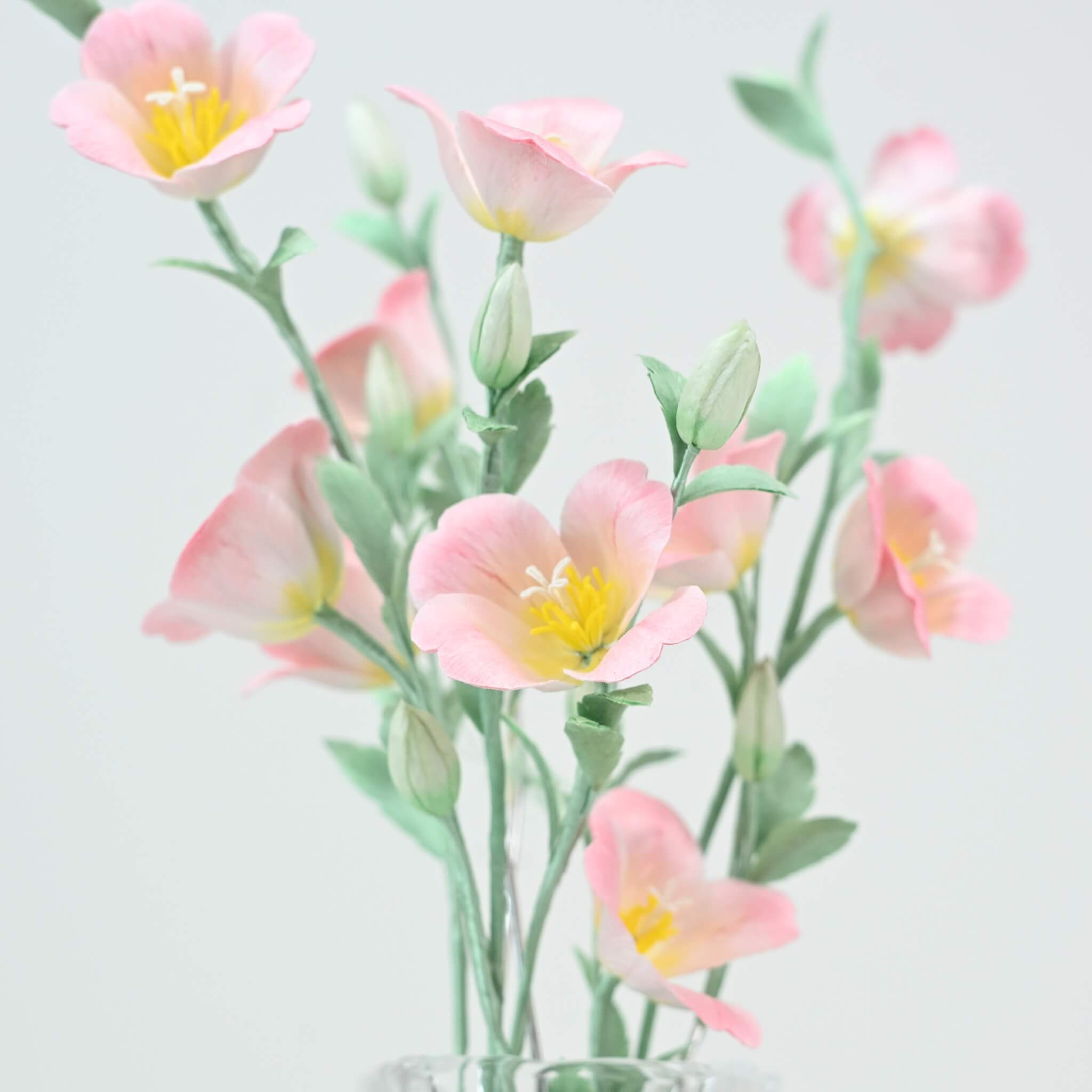 Ronghua DIY Kit | Evening Primroses