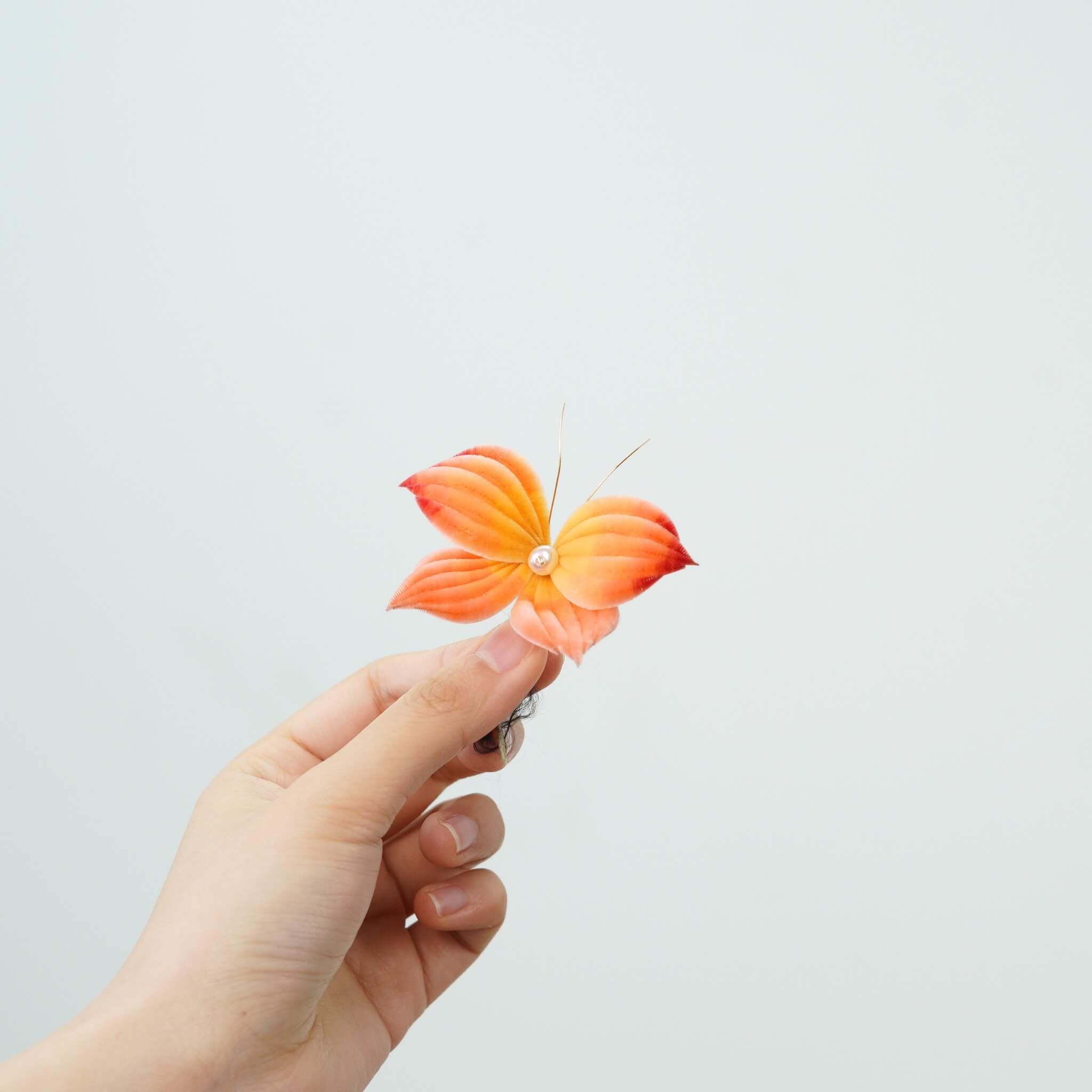 Reborn Butterfly | Limited Gift Edition for Easter 2026