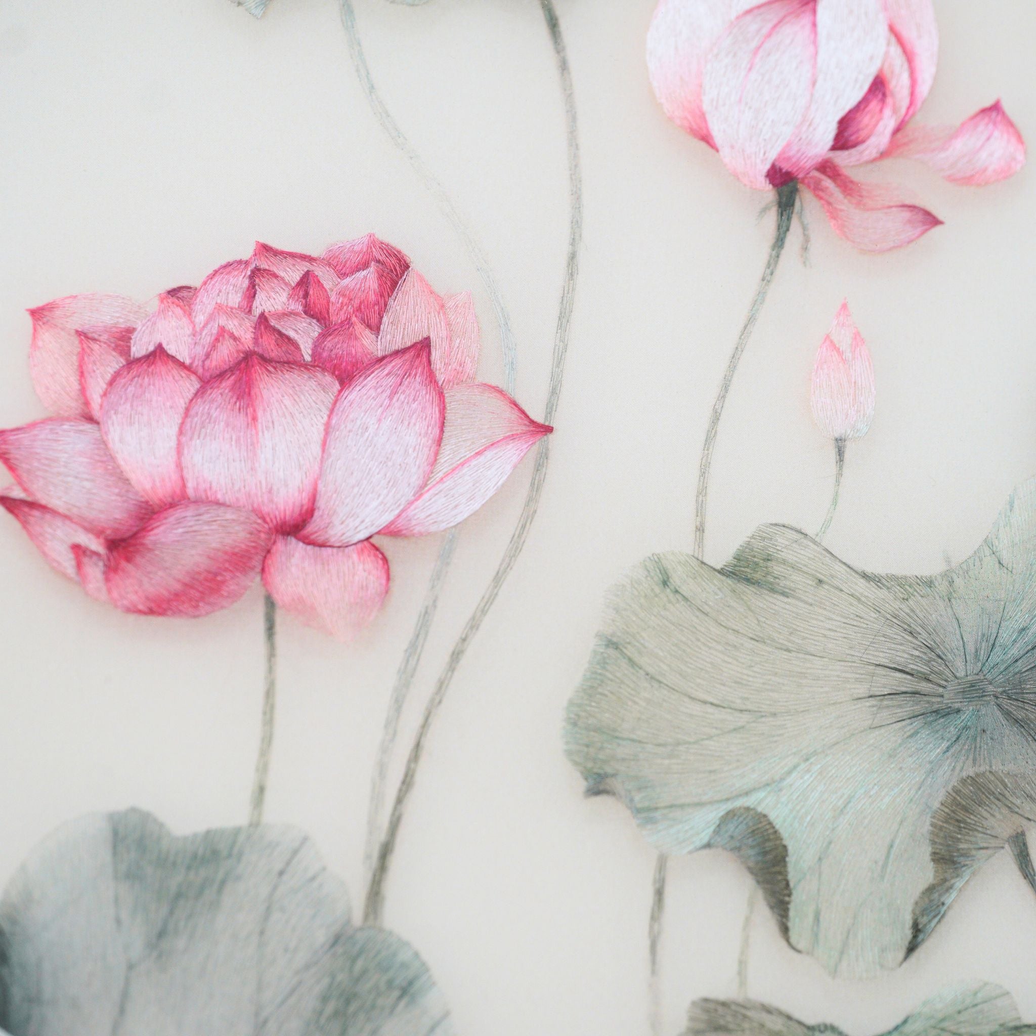 Pink Lotus