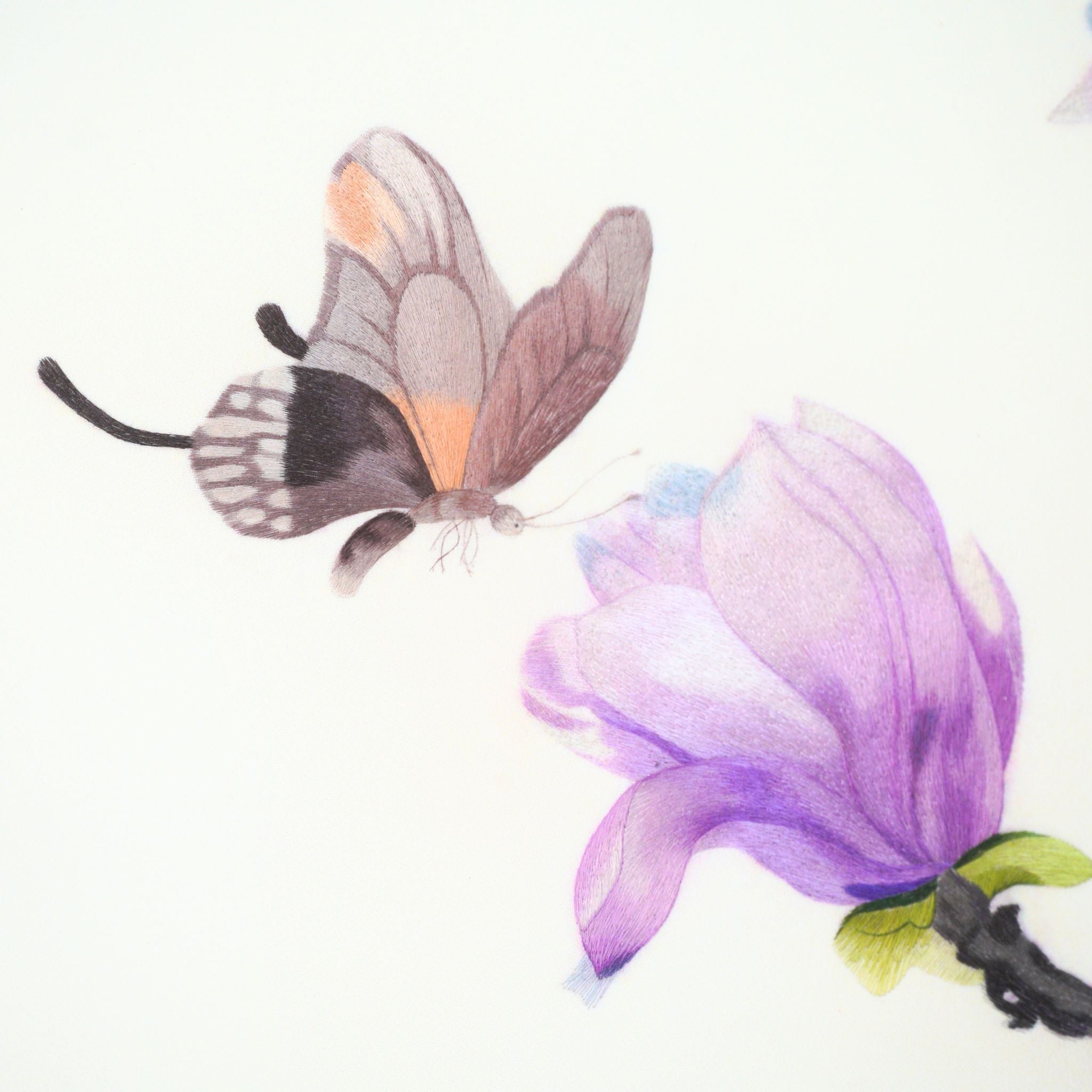 Purple Magnolia