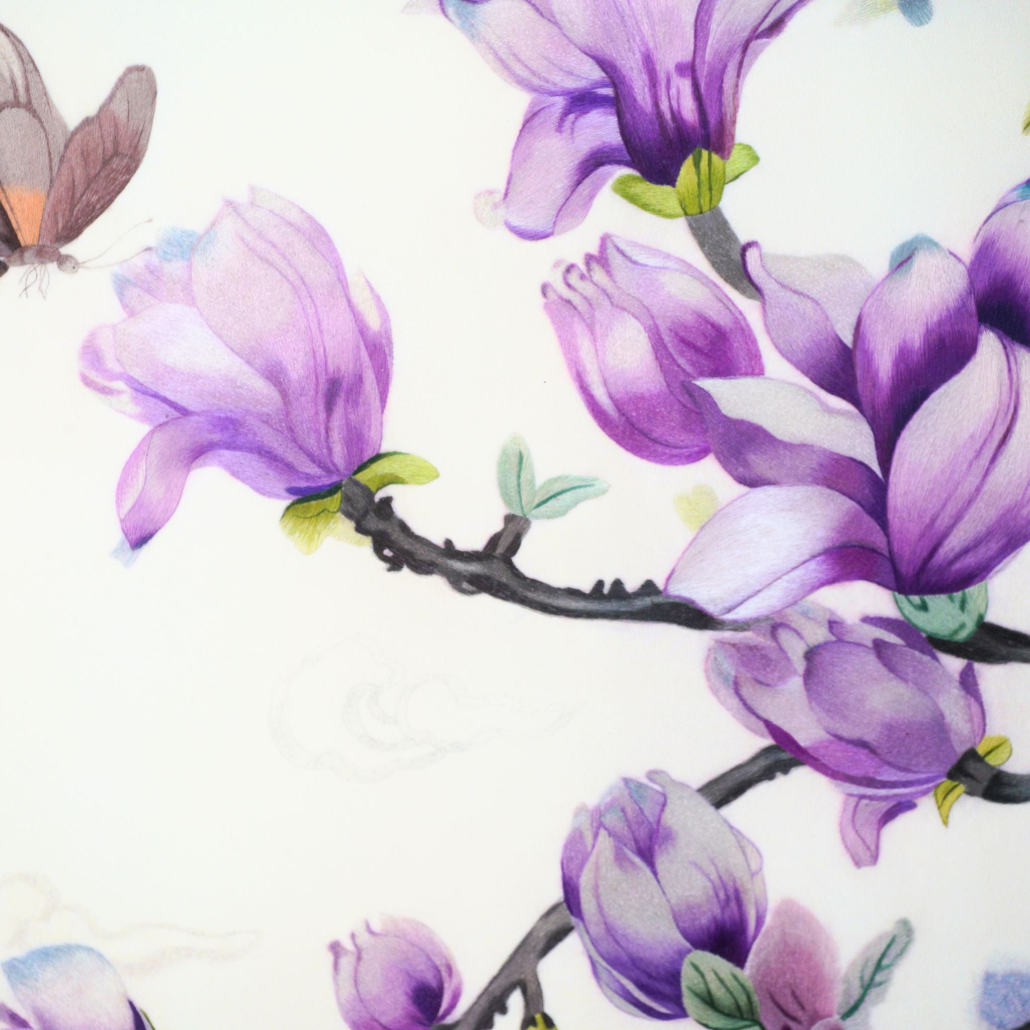 Purple Magnolia