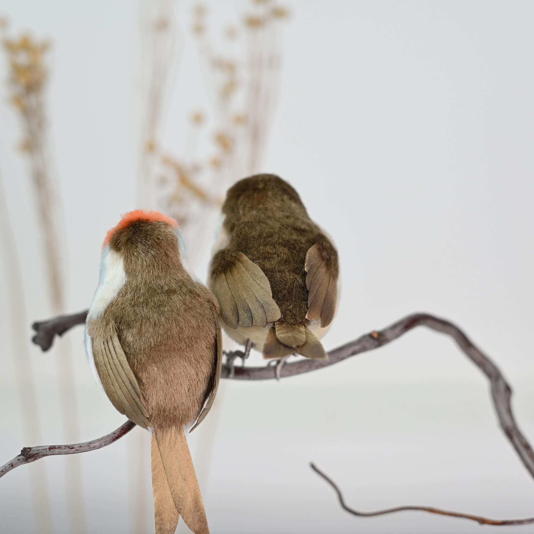 Ronghua DIY Kit | Robin from the Garden
