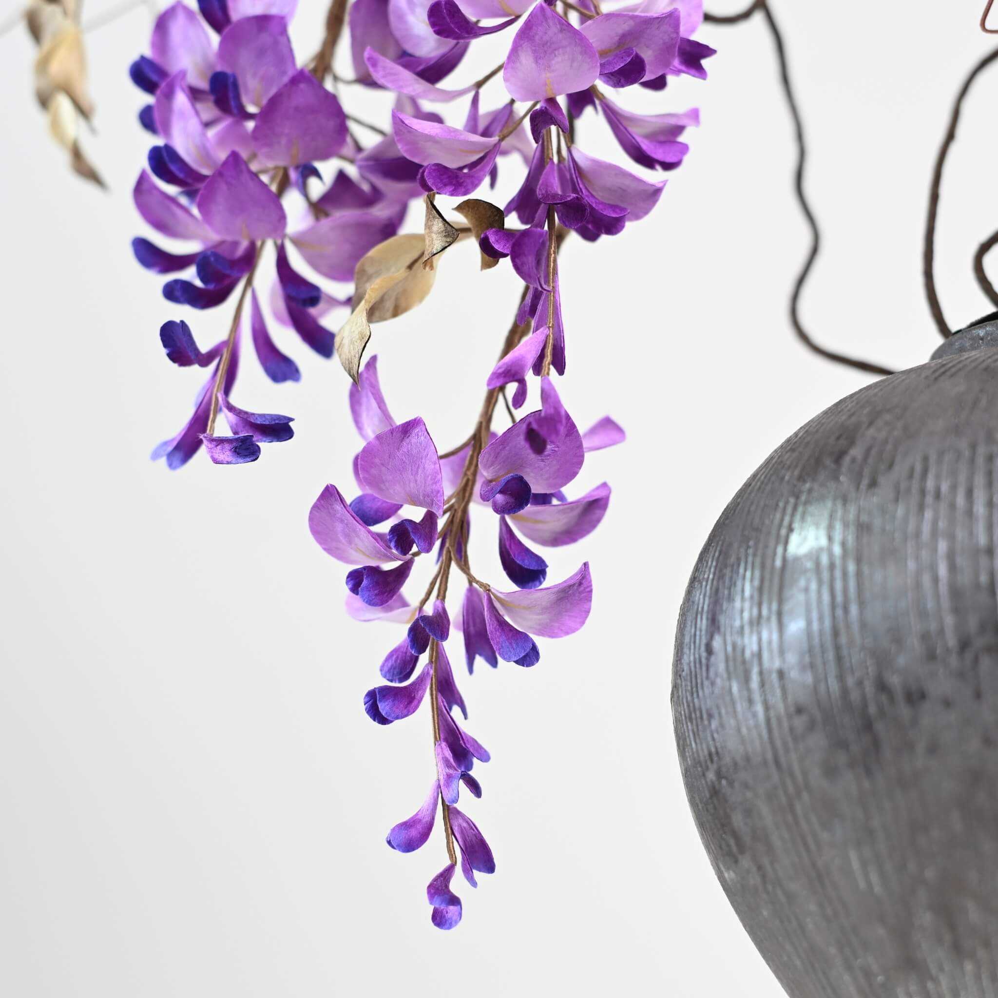 Ronghua DIY Kit | Wisteria Penjing