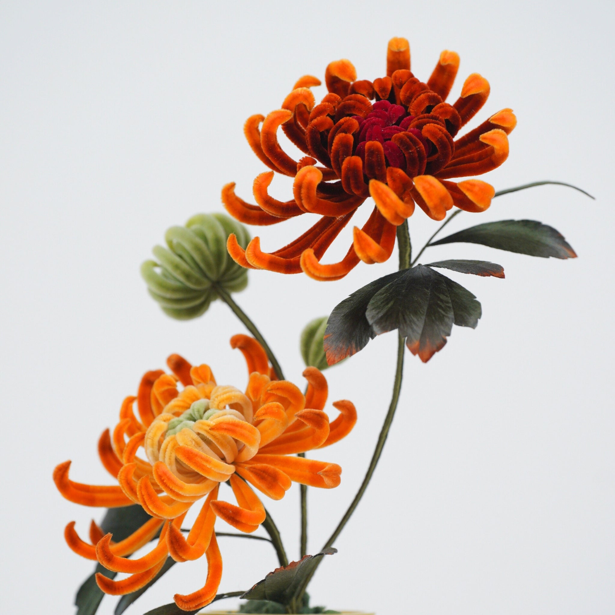 Ronghua DIY Kit | Golden Chrysanthemum Penjing