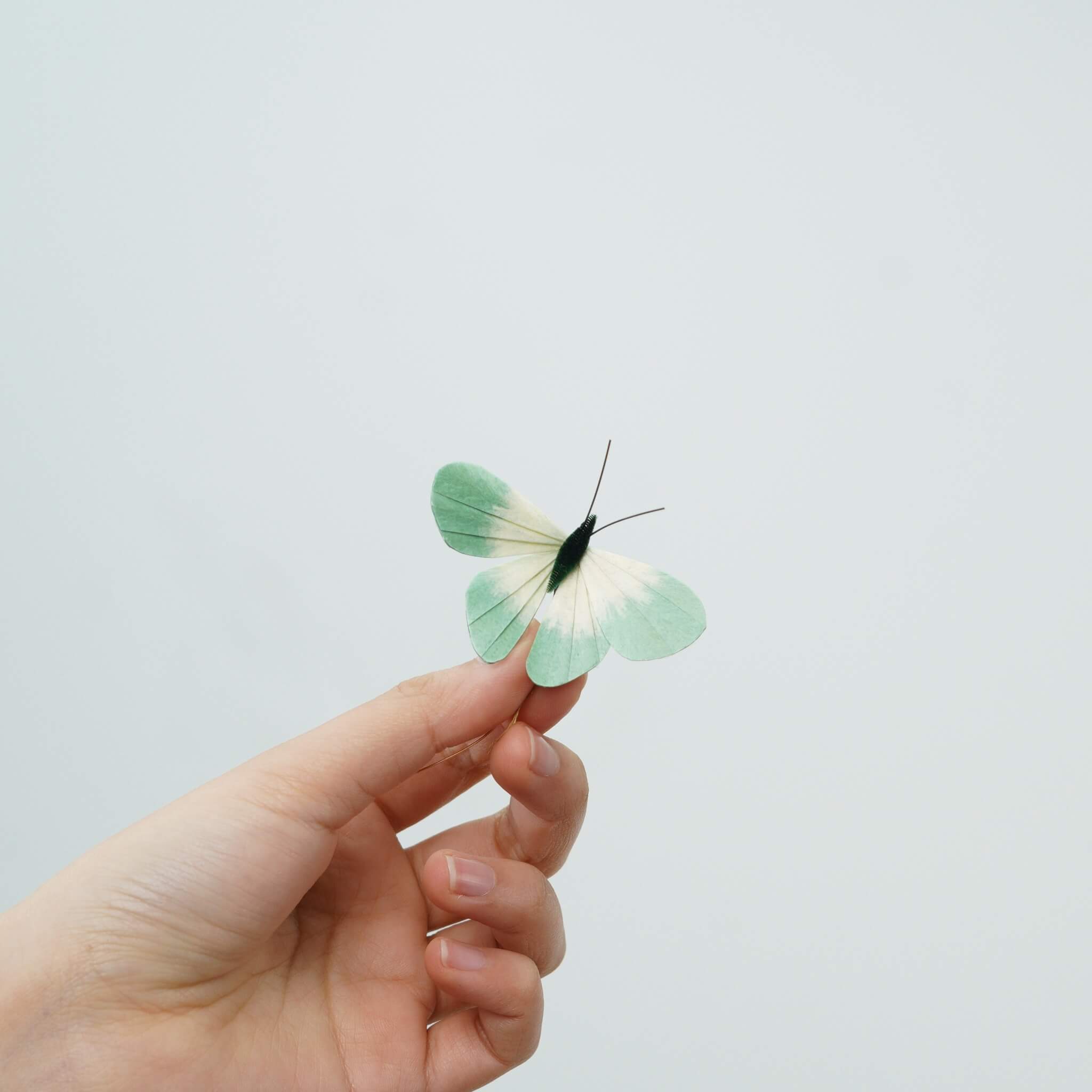 Reborn Butterfly | Limited Gift Edition for Easter 2026