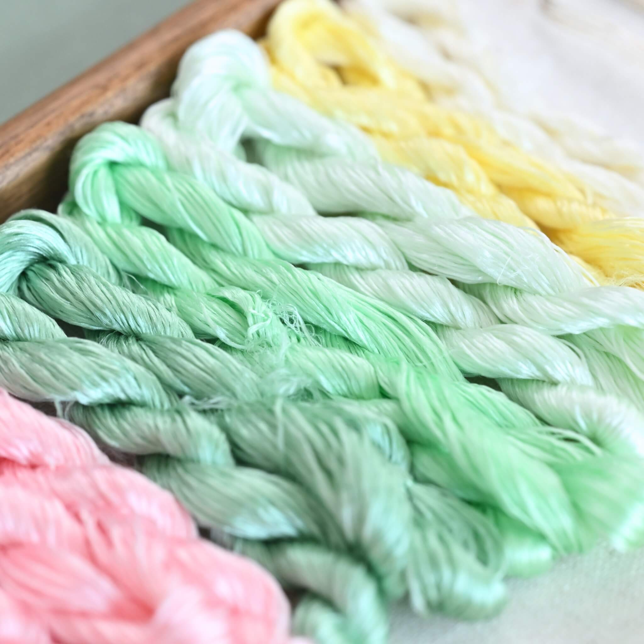 Ronghua DIY Kit | Evening Primroses
