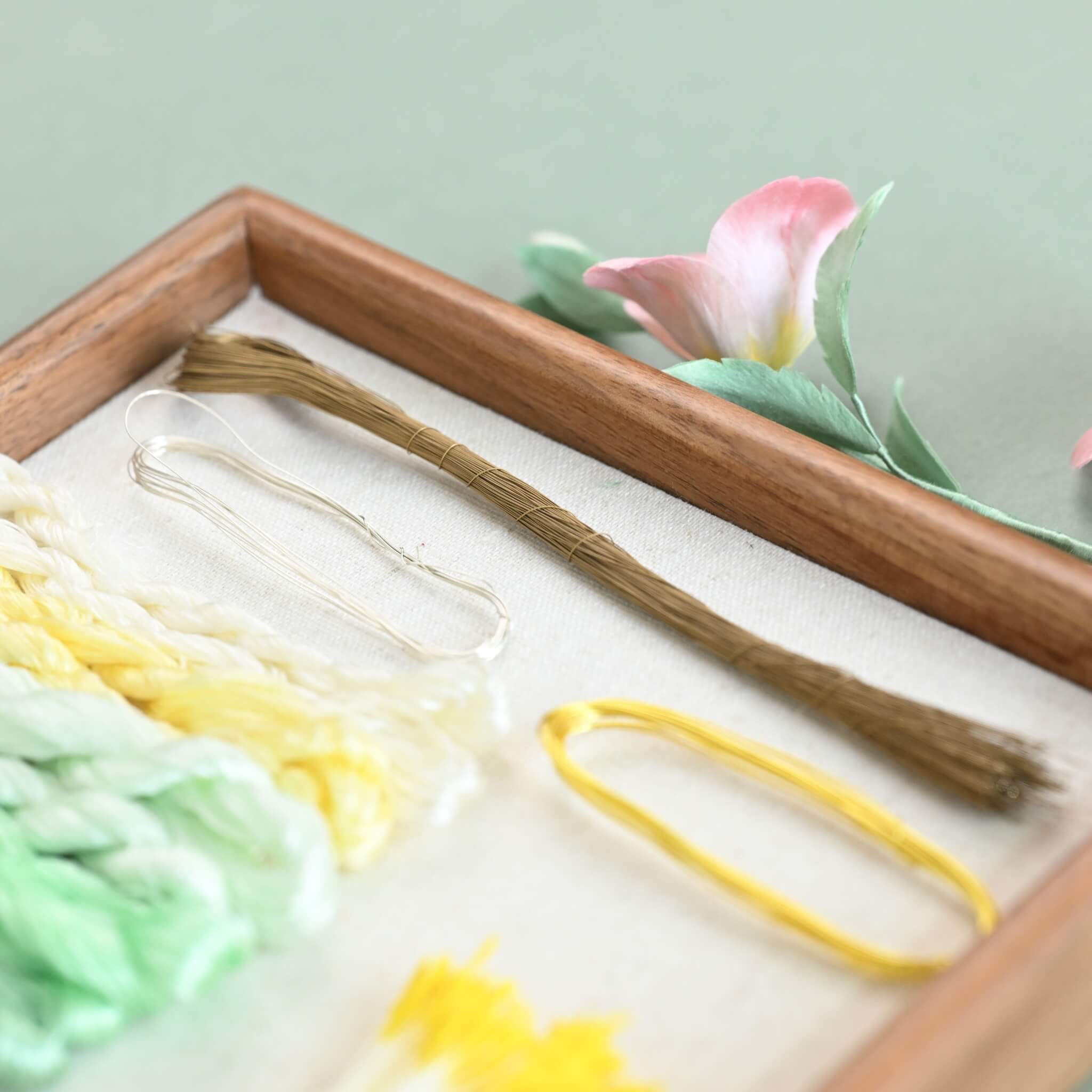 Ronghua DIY Kit | Evening Primroses