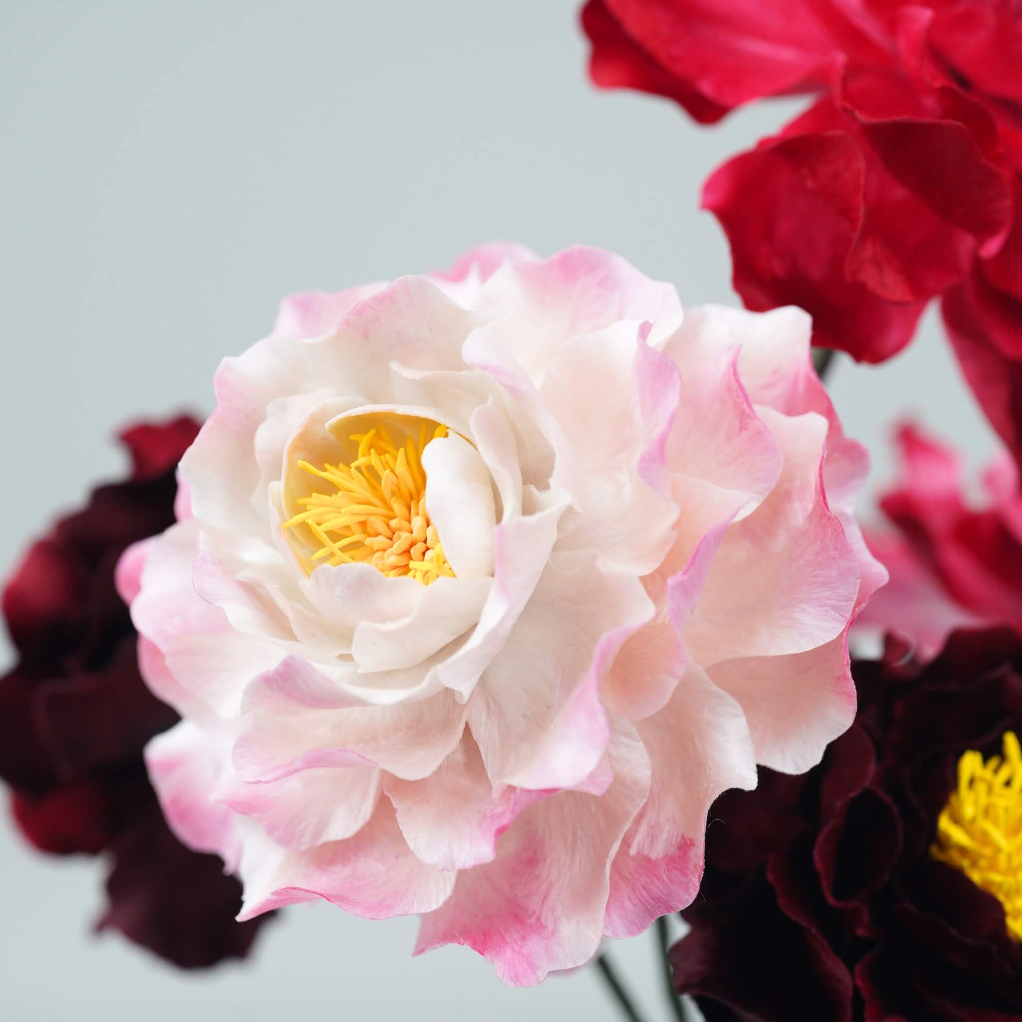 Ronghua DIY Kit | Peonies in Clouds