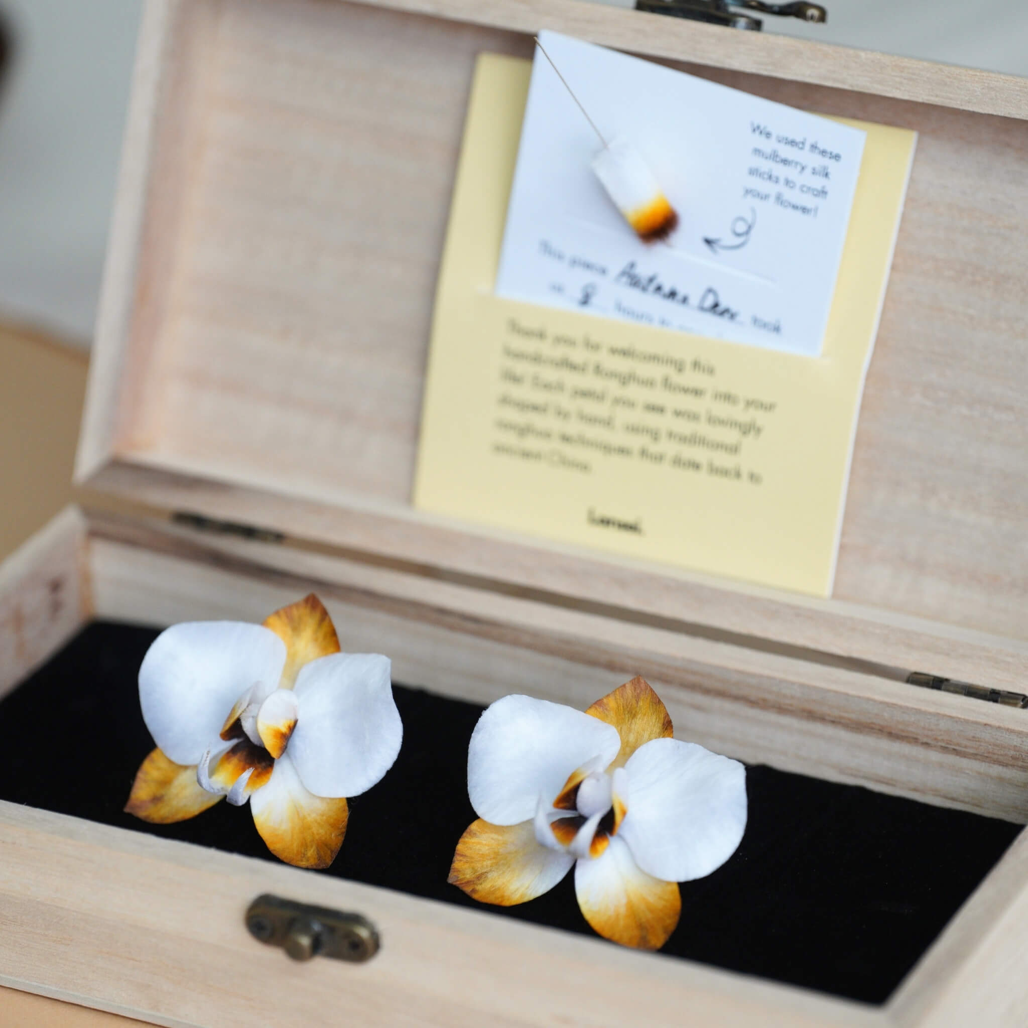 Ronghua DIY Kit | Autumn Dew Butterfly Orchid