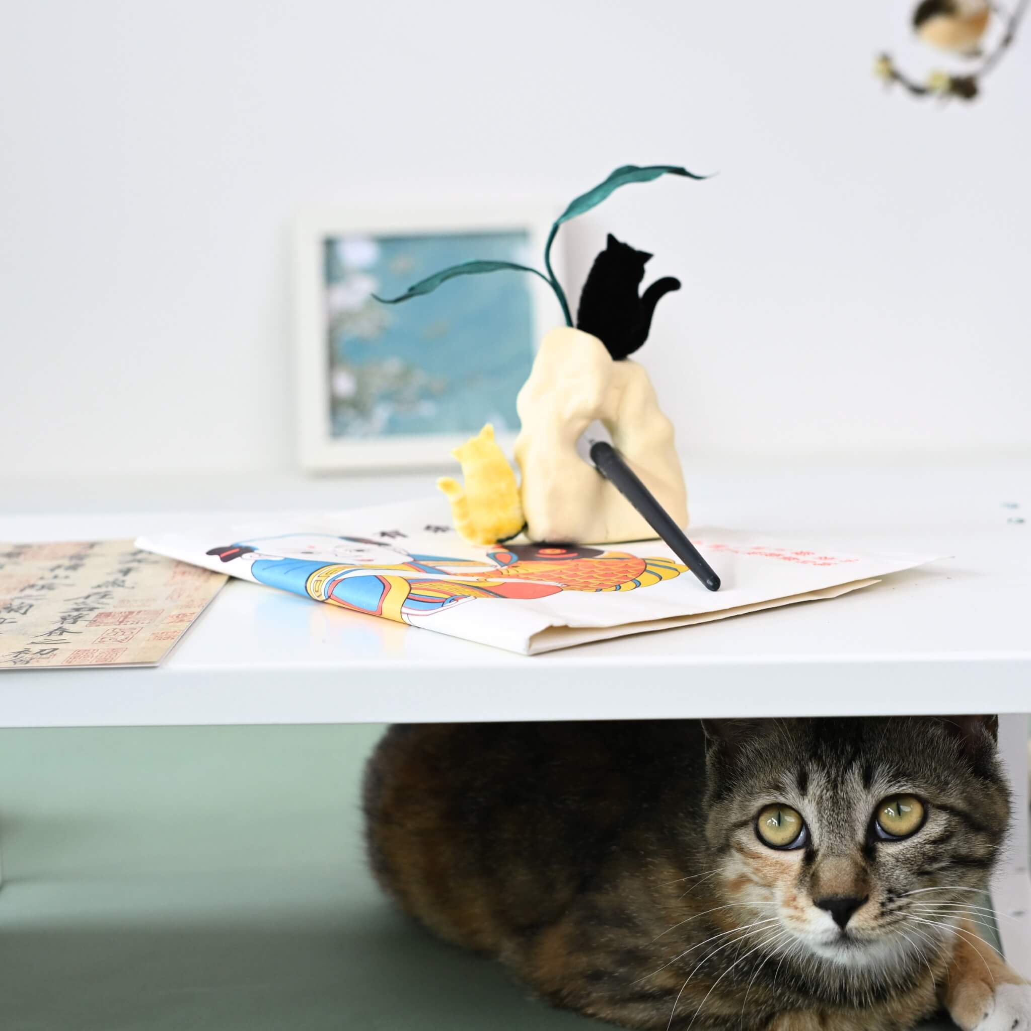 Ronghua DIY Kit | The Cat Playground