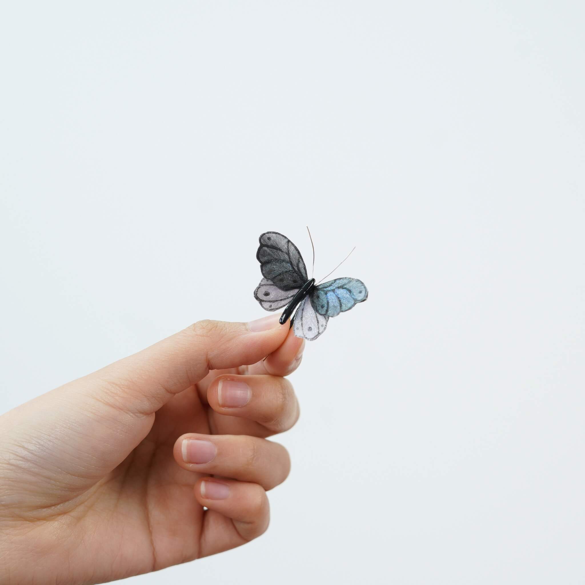 Reborn Butterfly | Limited Gift Edition for Easter 2026