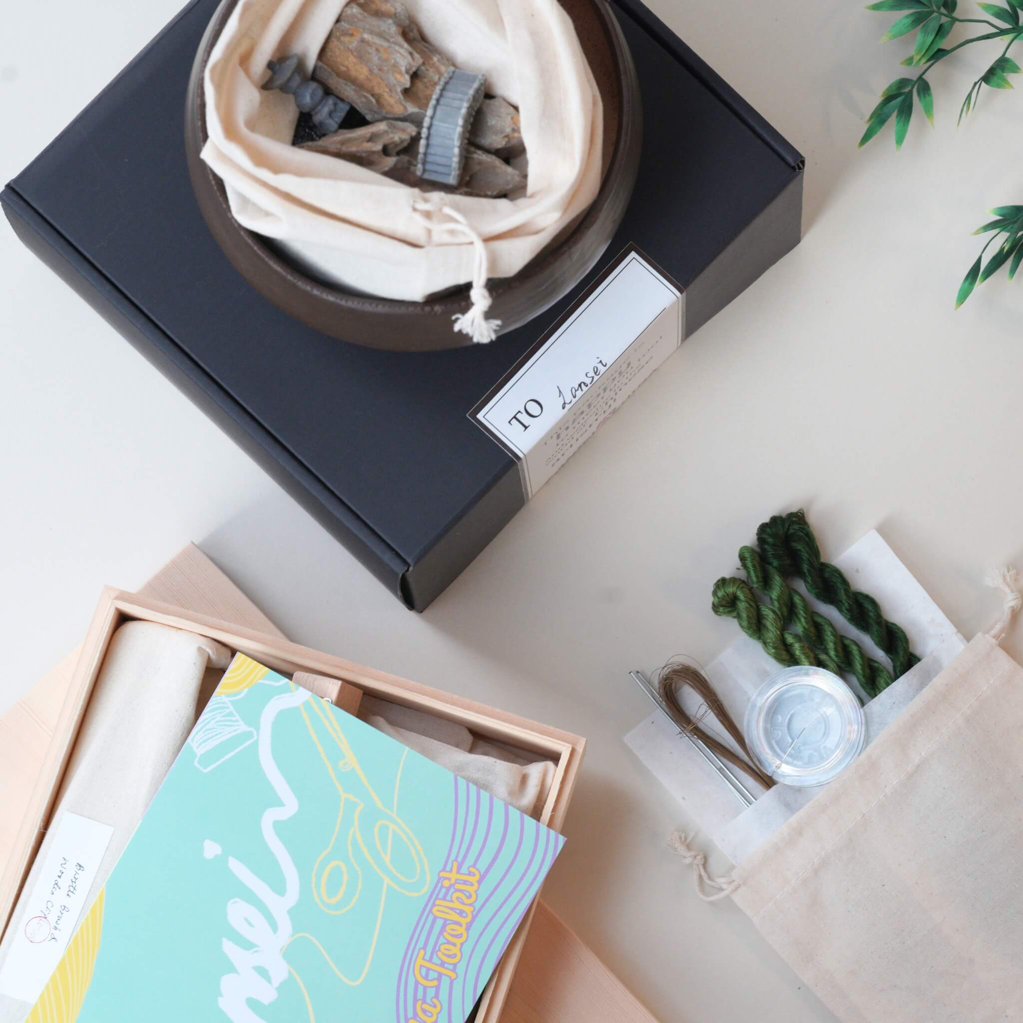 Ronghua DIY Kit | Bamboo Bonsai