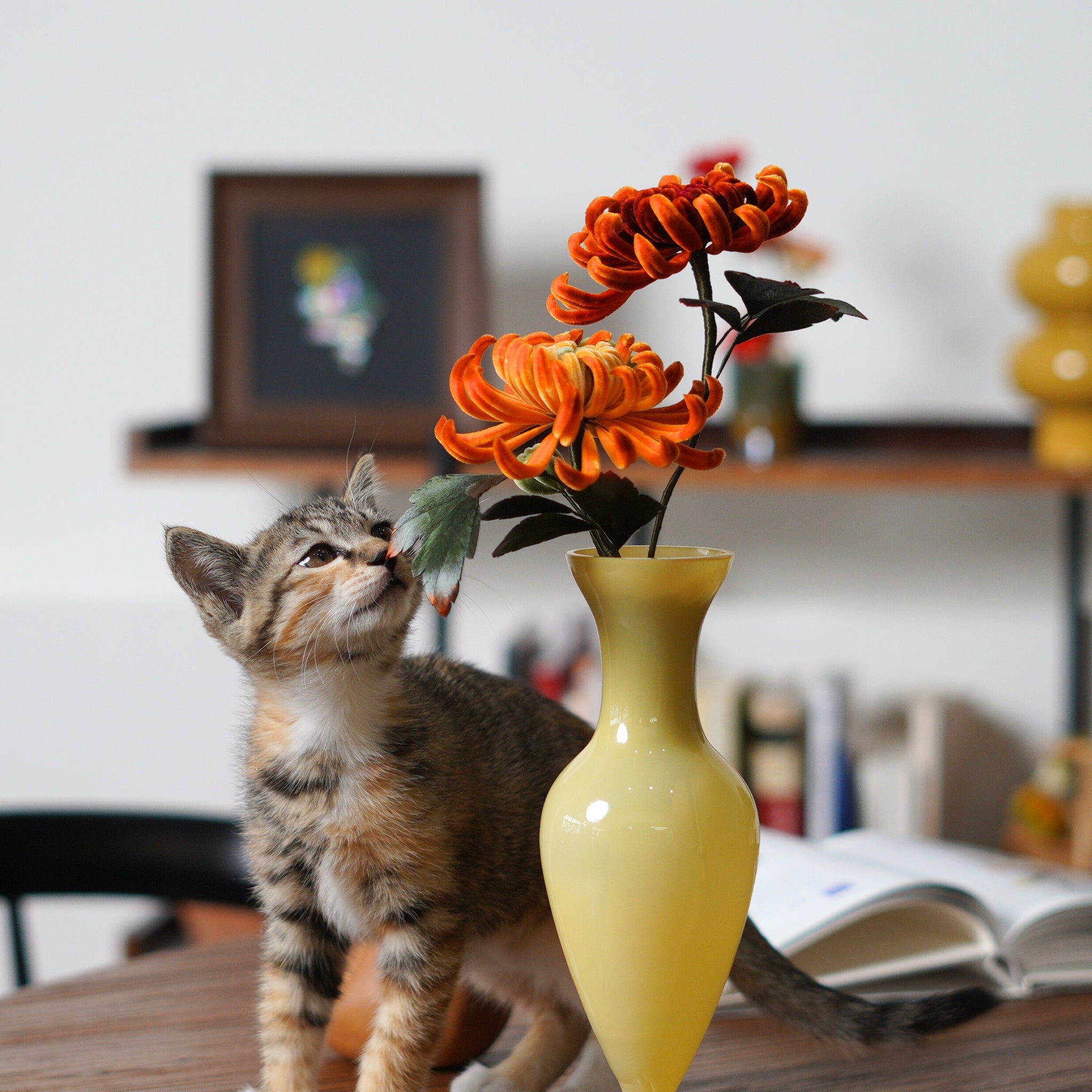 Ronghua DIY Kit | Golden Chrysanthemum Penjing